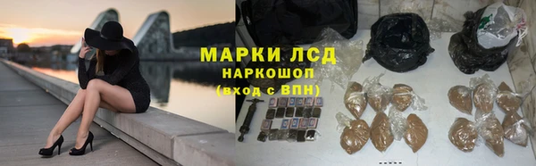 гидра Алзамай