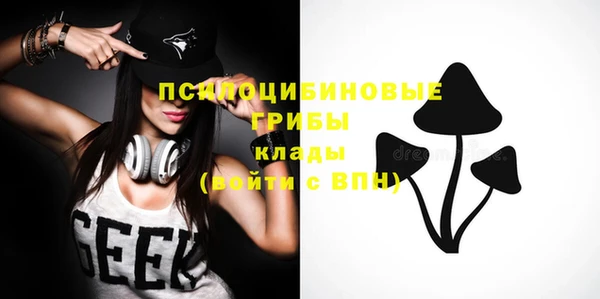 стаф Алексин