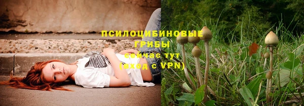 стаф Алексин