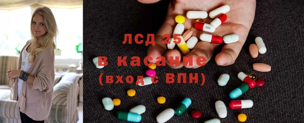 стаф Алексин