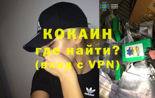стаф Алексин