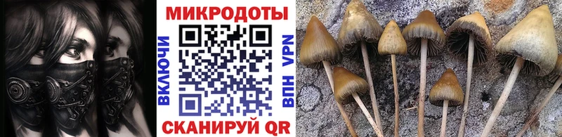 Псилоцибиновые грибы Psilocybine cubensis  мега зеркало  Железногорск-Илимский  купить закладку 